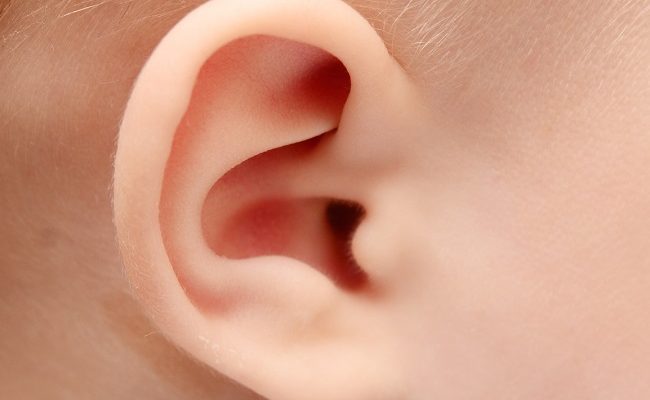 Tổng quan về tai ở người