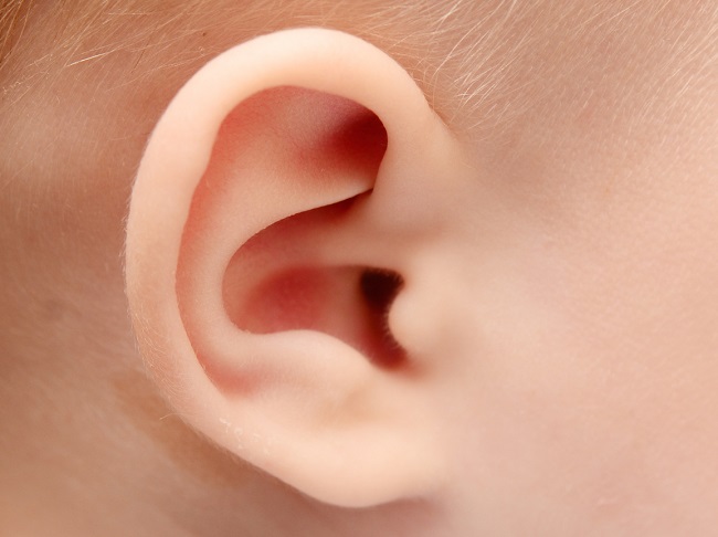 Tổng quan về tai ở người